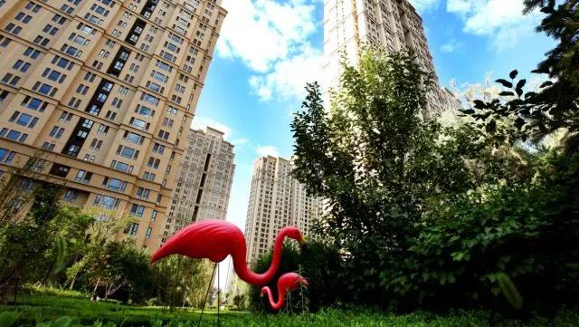 1548915095203773.jpg 20180528145351_1754.jpg