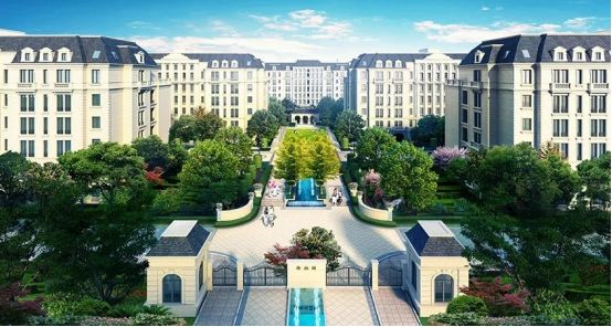 1557798343611464.jpg 6.jpg