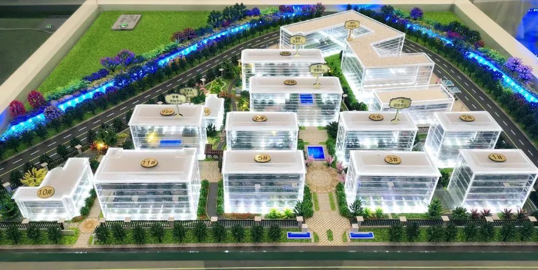 1561013460278971.jpg 6402.jpg