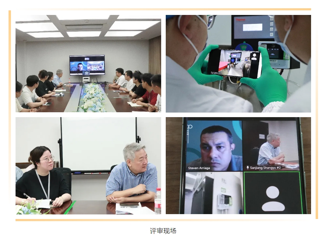 1718955521312927.png 11.png